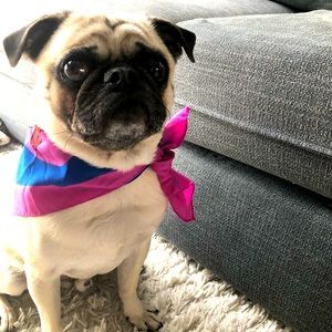 Jax invites you to our closet 😉♥️